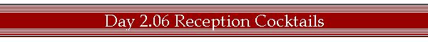 Day 2.06 Reception Cocktails