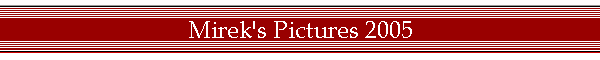 Mirek's Pictures 2005
