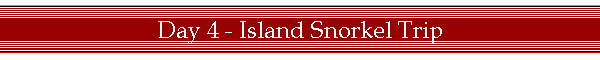 Day 4 - Island Snorkel Trip