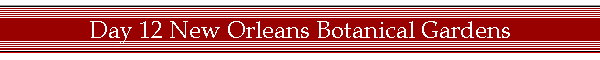 Day 12 New Orleans Botanical Gardens